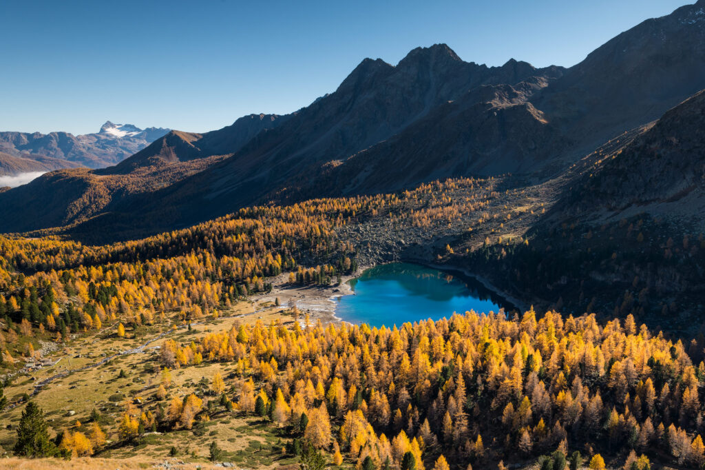 Engadin – Goldener Herbst