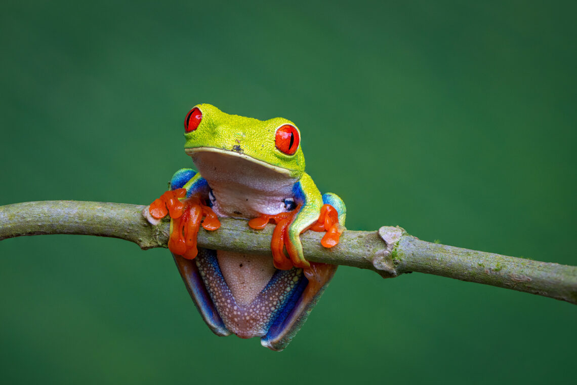 Tierwelt und Landschaften 21. April bis 07. Mai 2025